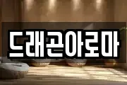 드래곤아로마