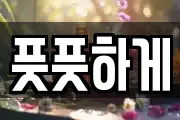 풋풋하게