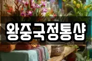 왕중국정통샵