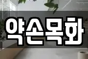 약손목화