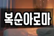 복순아로마