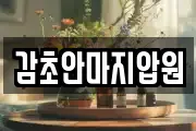 감초안마지압원