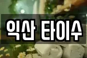 익산 타이수