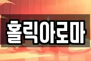 홀릭아로마