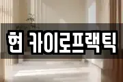 현 카이로프랙틱