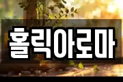 홀릭아로마