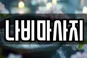 나비마사지