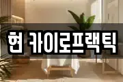 현 카이로프랙틱