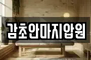 감초안마지압원