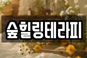 숲힐링테라피