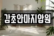 감초안마지압원
