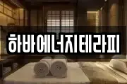 하바에너지테라피