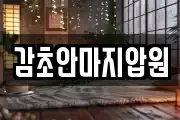 감초안마지압원