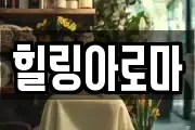전북특별자치도 장수군 장수읍 마사지, 지압등 업체정보