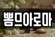 뽐므아로마