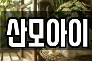 전북특별자치도 전주시 덕진구 반월동 마사지, 지압등 업체정보