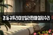 경동귀뚜라미보일러판매설치수리