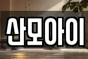 전북특별자치도 전주시 덕진구 용정동 마사지, 지압등 업체정보