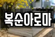 복순아로마