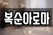 복순아로마