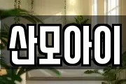 전북특별자치도 전주시 덕진구 장동 마사지, 지압등 업체정보
