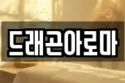 드래곤아로마