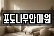 포도나무안마원