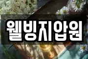 웰빙지압원
