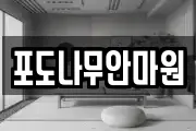 포도나무안마원