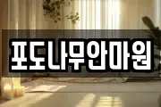 포도나무안마원