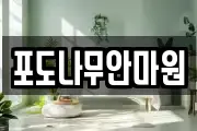 포도나무안마원