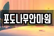포도나무안마원