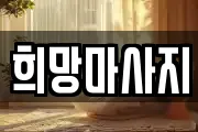 전북특별자치도 전주시 완산구 풍남동2가 마사지, 지압등 업체정보