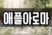 애플아로마