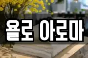욜로 아로마