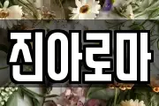 진아로마