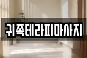 전북특별자치도 전주시 완산구 효자동3가 마사지, 지압등 업체정보