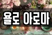 욜로 아로마
