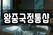 왕중국정통샵