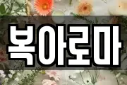 복아로마