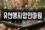 전북특별자치도 정읍시 영파동 마사지, 지압등 업체정보