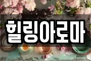 전북특별자치도 진안군 마사지, 지압등 업체정보