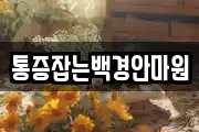 통증잡는백경안마원