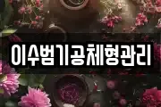 이수범기공체형관리