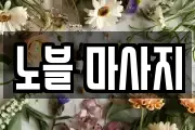 노블 마사지