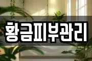 황금피부관리