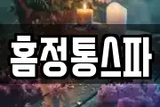 홈정통스파