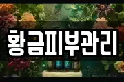 황금피부관리