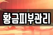 황금피부관리