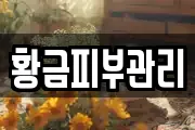 황금피부관리